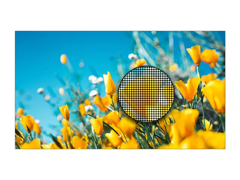 DV-LED All-in-One Window Displays - Presentation Media