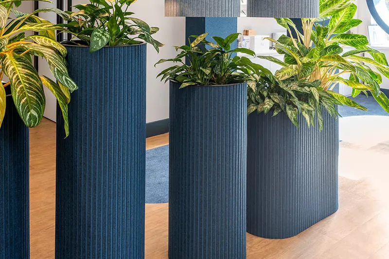 AllSfar Blom - Presentation Media