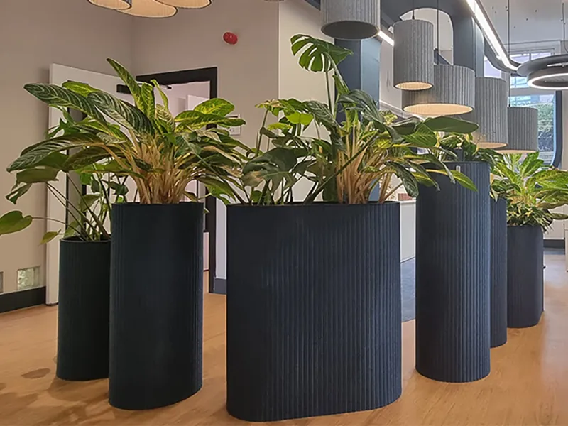 AllSfar acoustic biophilia - Presentation Media