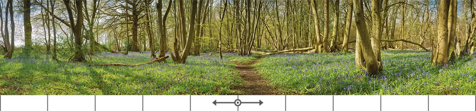 Öra Mural Wayland Wood Bluebells - Presentation Media
