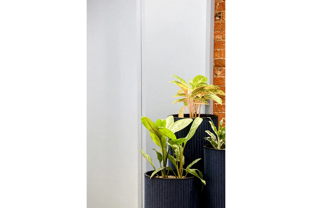 AllSfär Vault Wall - Presentation Media