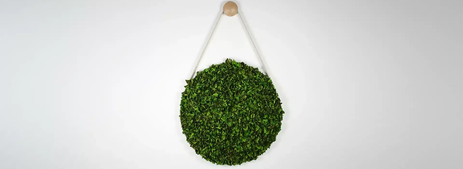 Greenmood Belt - Presentation Media