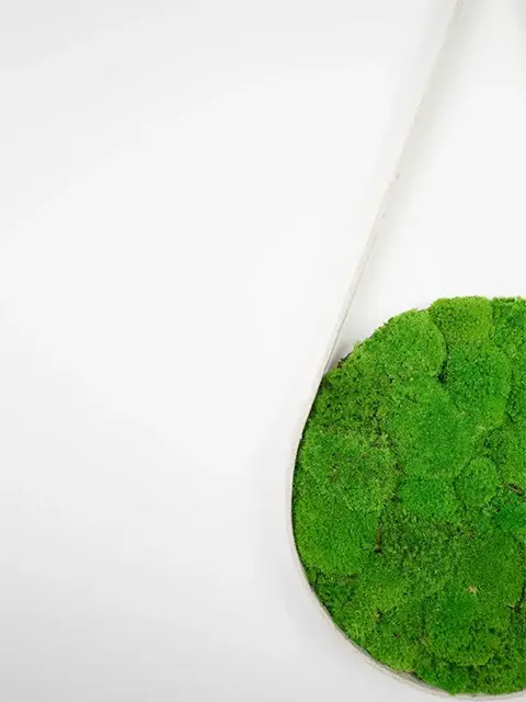 Greenmood Belt - Presentation Media