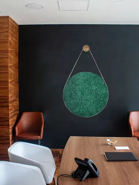 Greenmood Belt - Presentation Media