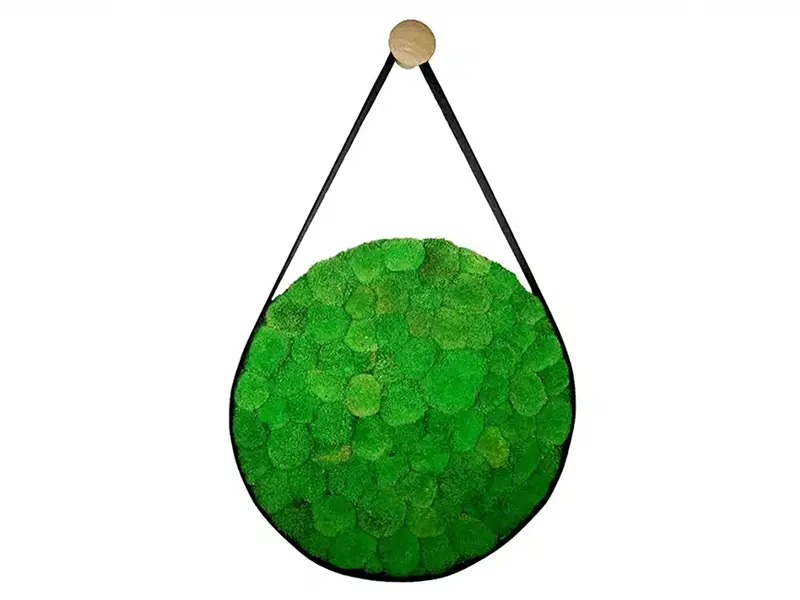 Greenmood Belt - Presentation Media