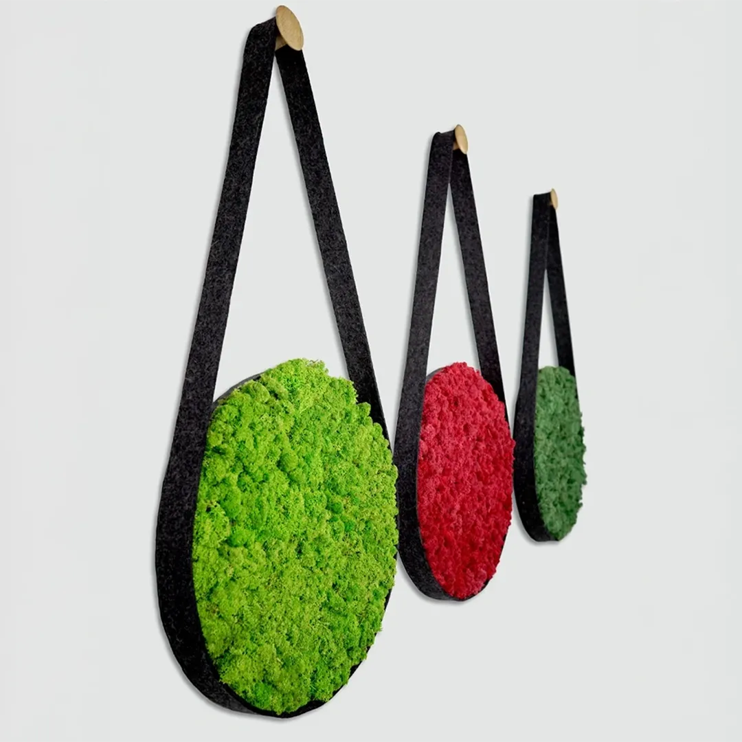 Greenmood Belt - Presentation Media