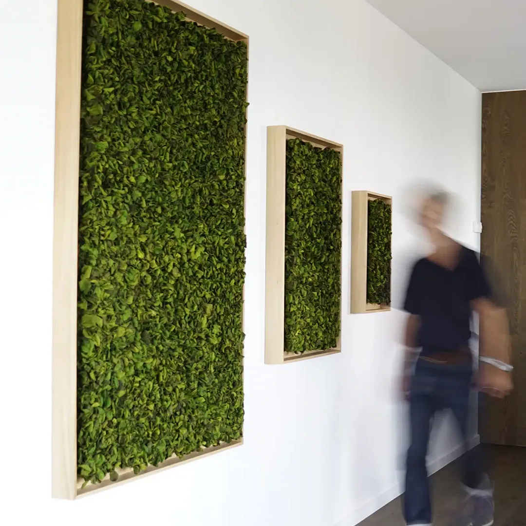 Greenmood Framed - Presentation Media