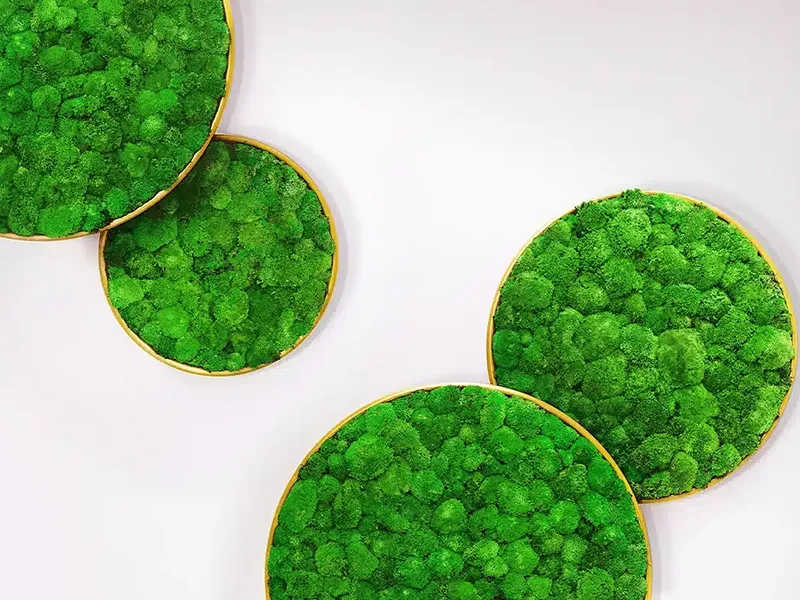 Greenmood G-Circle - Presentation Media