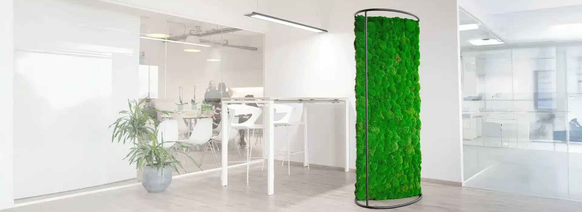 Greenmood G-Divider - Presentation Media