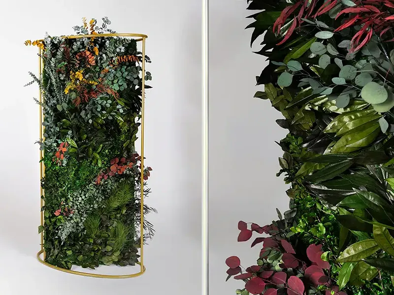 Greenmood G-Divider - Presentation Media