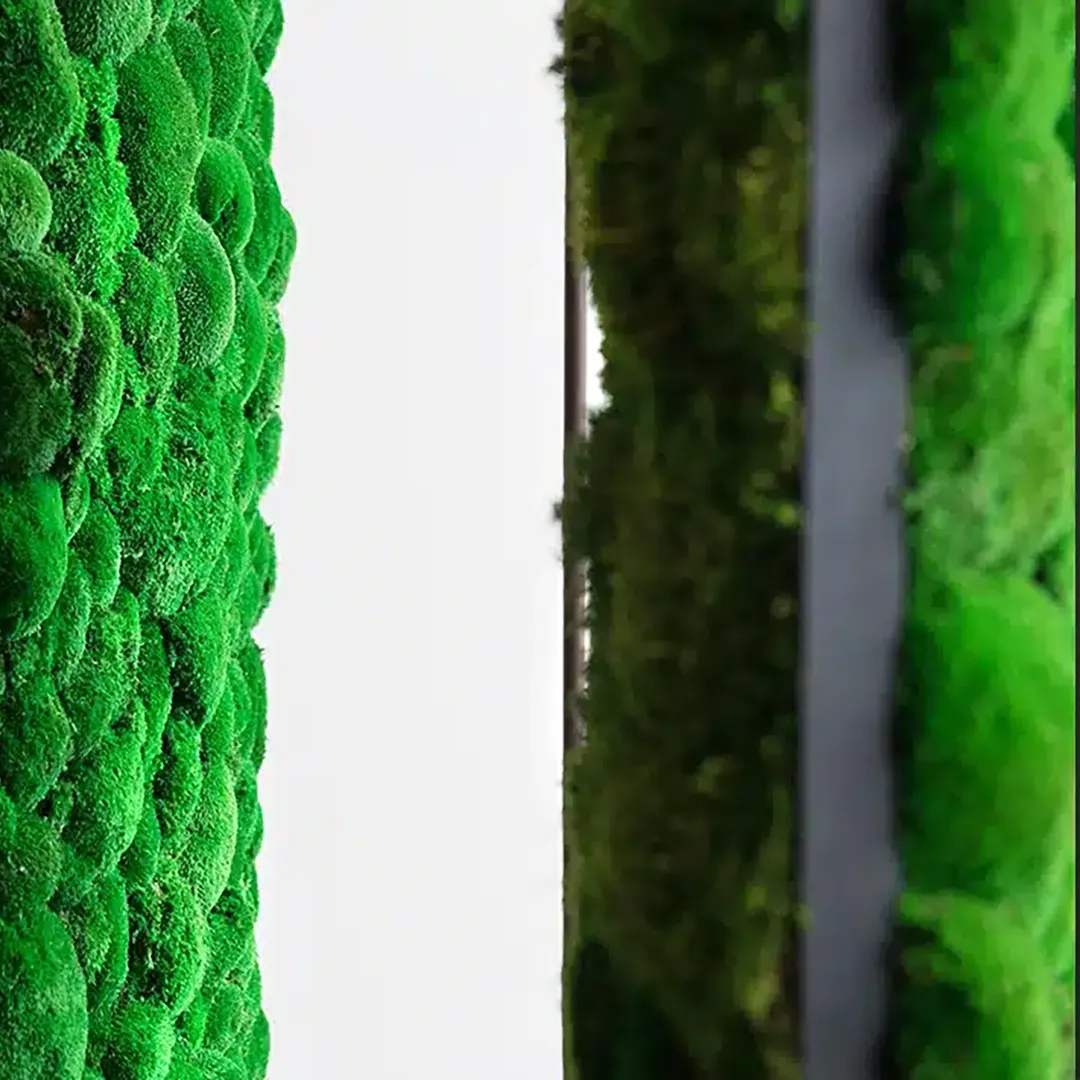 Greenmood G-Divider - Presentation Media