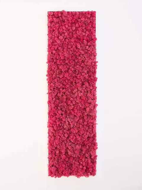 Greenmood Moss Frames - Presentation Media