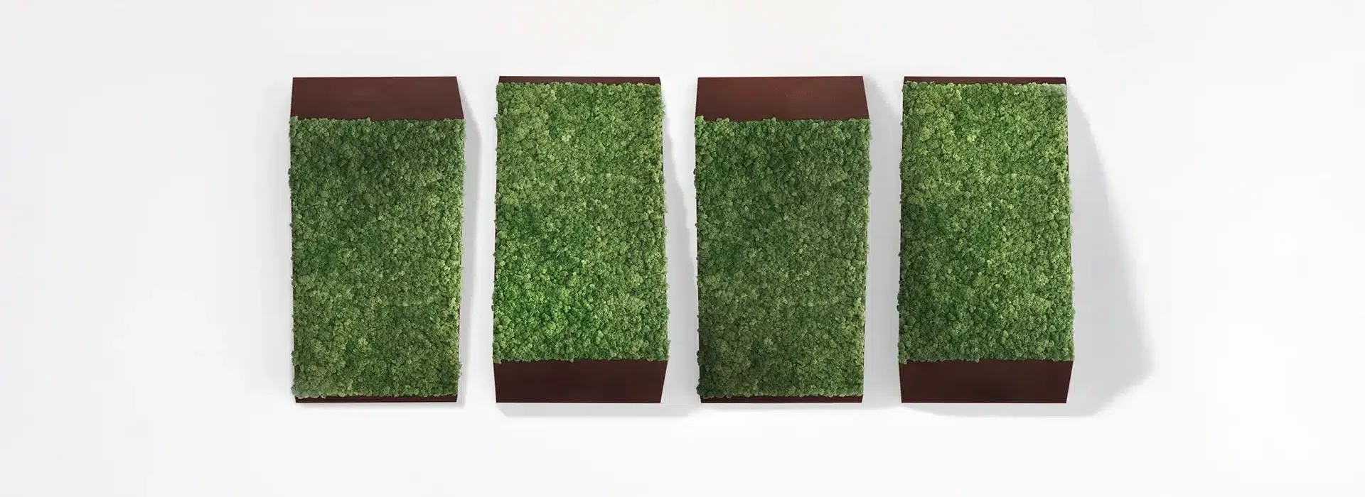 Greenmood Perspective Lines - Presentation Media