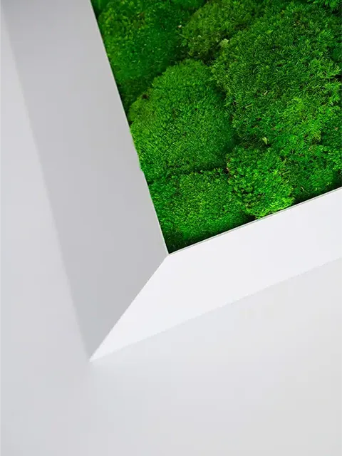 Greenmood Perspective Lines - Presentation Media