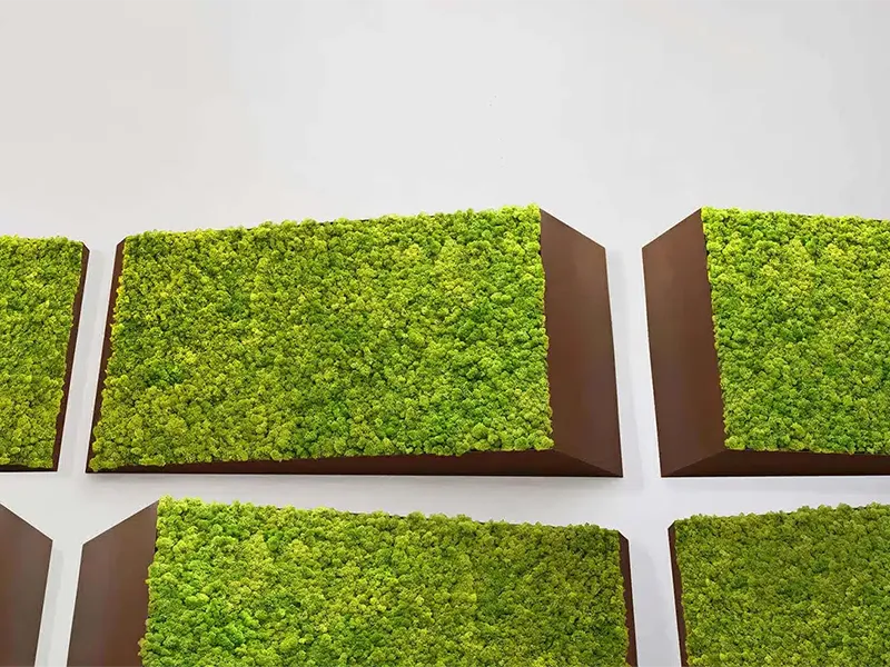 Greenmood Perspective Lines - Presentation Media