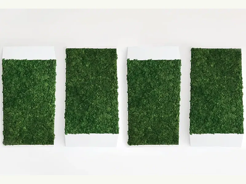 Greenmood Perspective Lines - Presentation Media