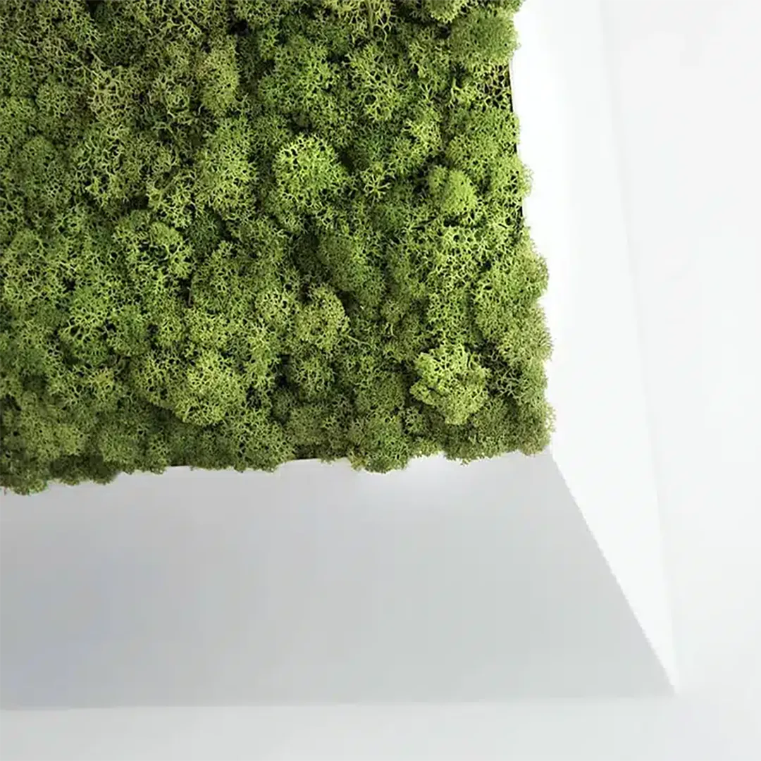 Greenmood Perspective Lines - Presentation Media