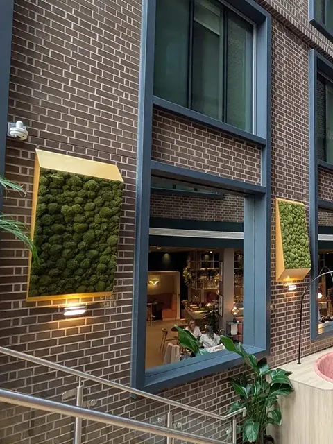 Greenmood Perspective Lines - Presentation Media