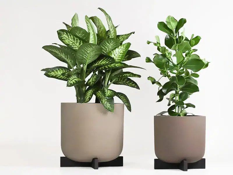 Greenmood Cruz Planters - Presentation Media