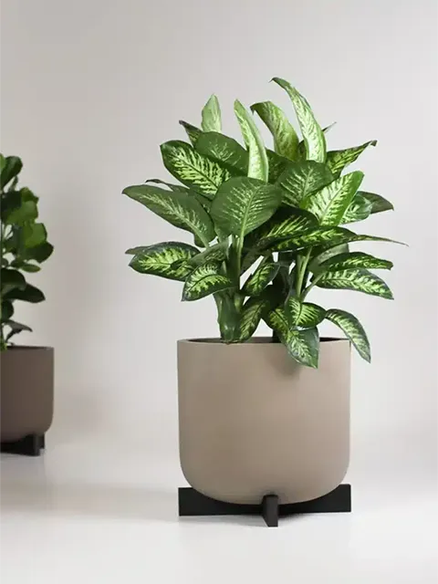 Greenmood Planters - Presentation Media