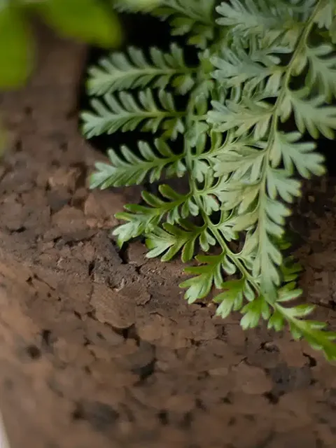 Greenmood Planters - Presentation Media