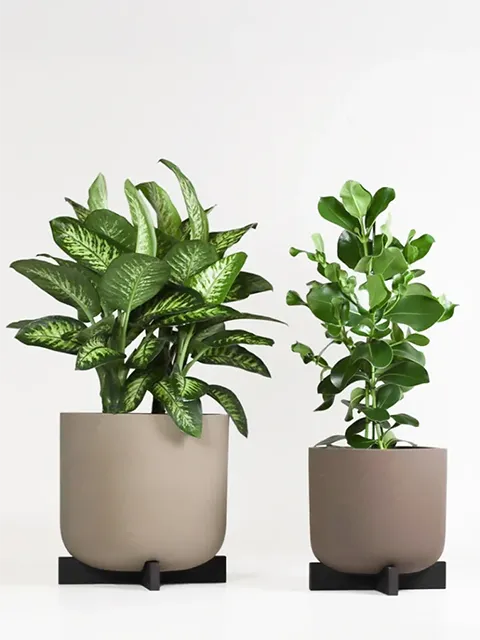 Greenmood Planters - Presentation Media