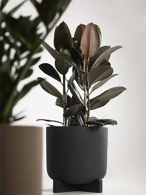 Greenmood Planters - Presentation Media