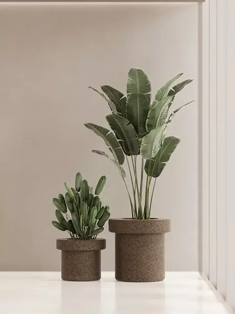 Greenmood Planters - Presentation Media