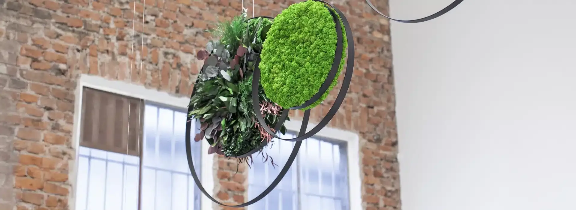 Greenmood Rings - Presentation Media