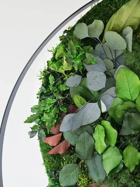 Greenmood Rings - Presentation Media