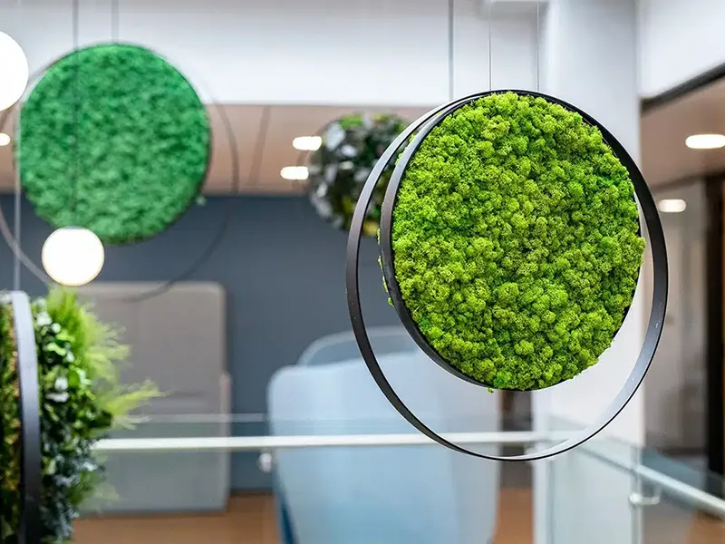 Greenmood Rings - Presentation Media