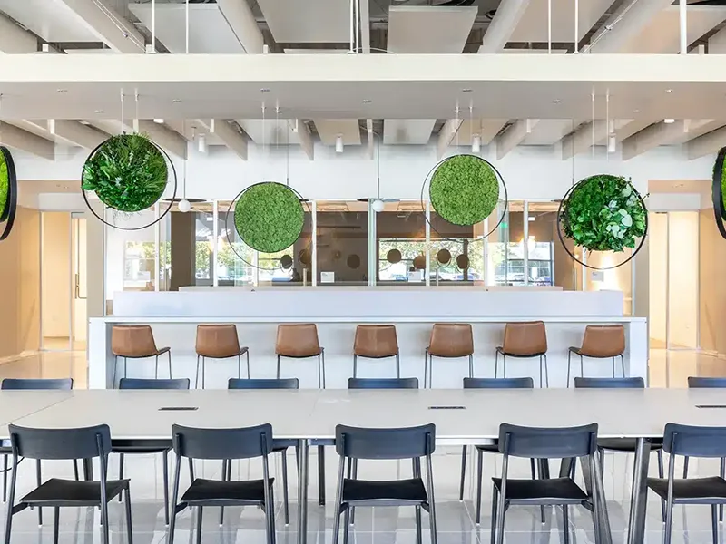 Greenmood Rings - Presentation Media