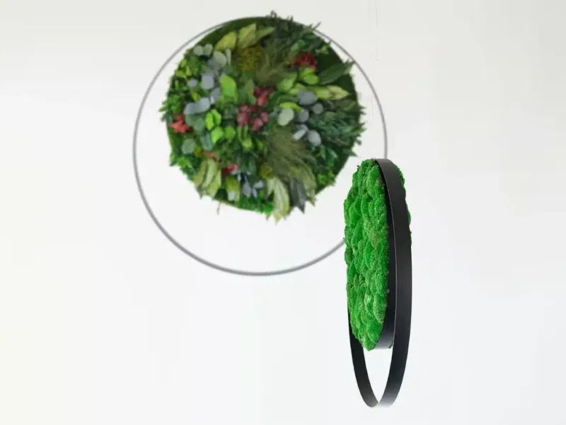 Greenmood Rings - Presentation Media