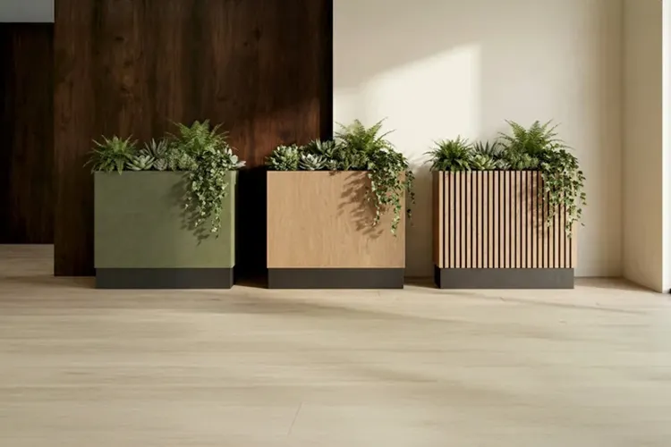 Bonzai planters by Identity Furniture - Presentation Media
