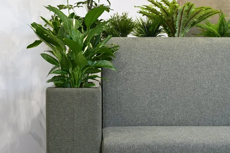 Bonzai planters by Identity Furniture - Presentation Media