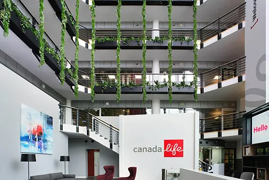 Vistafolia extendable artificial trailing plants - Presentation Media