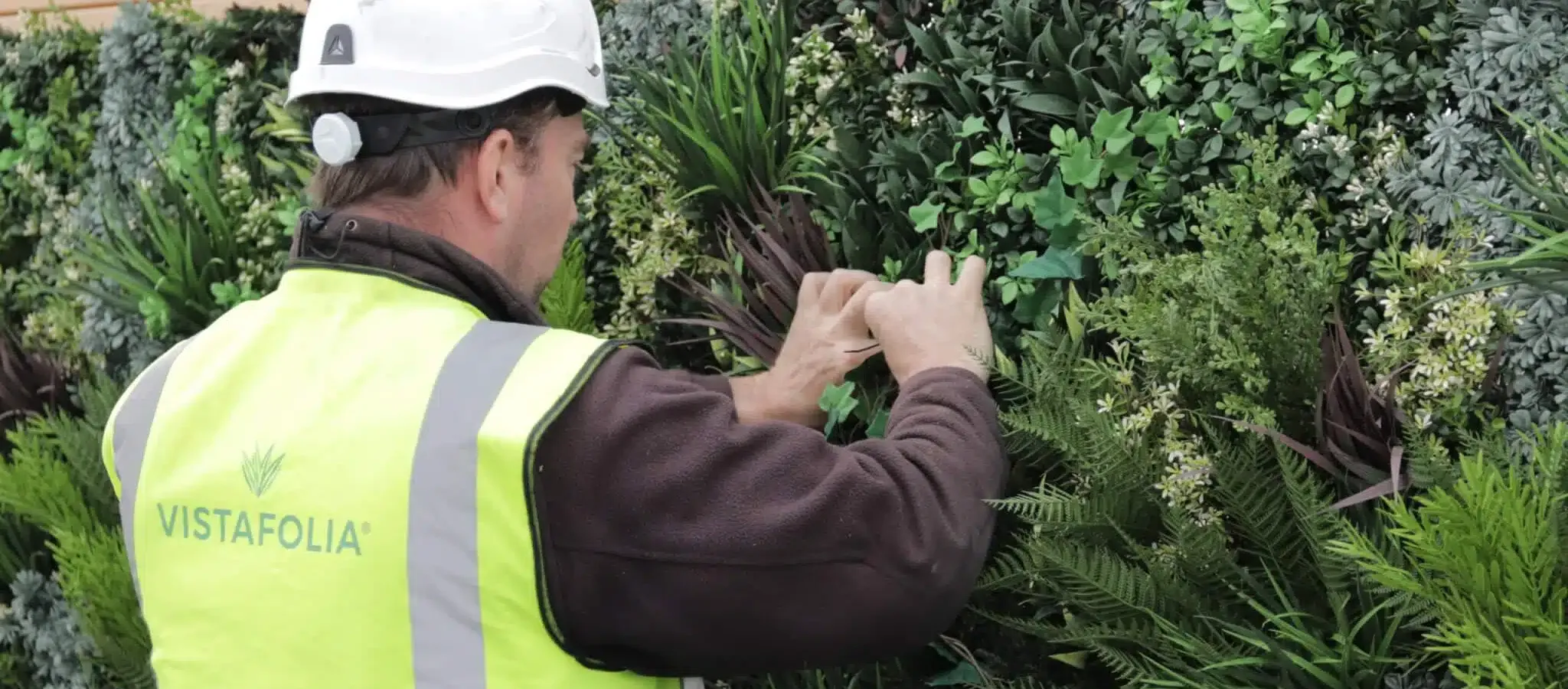 Vistafolia Green Wall Fixing System - Presentation Media