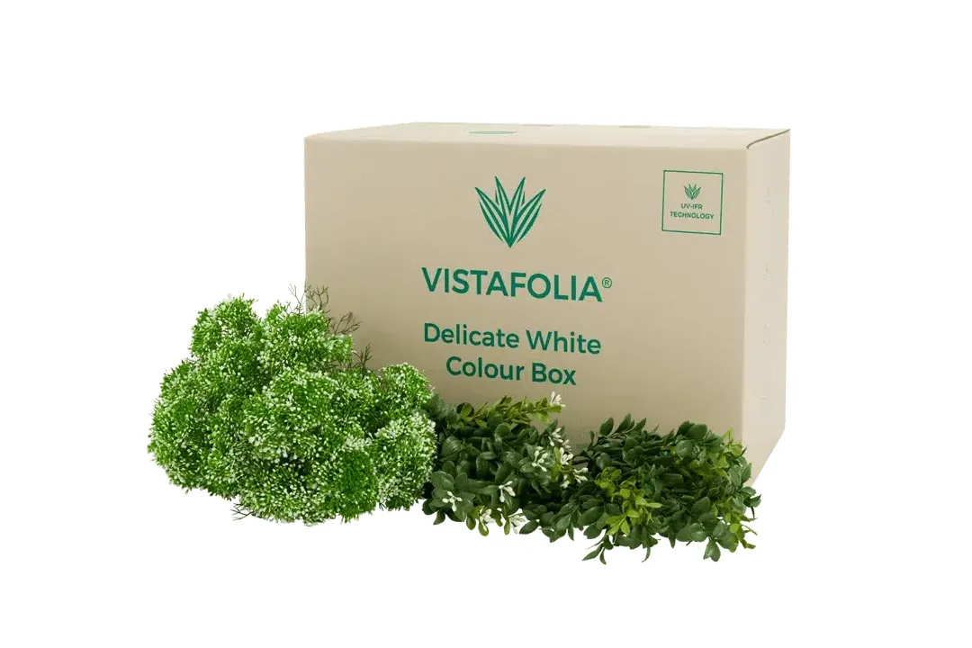 Vistafolia Delicate White Colour Box - Presentation Media