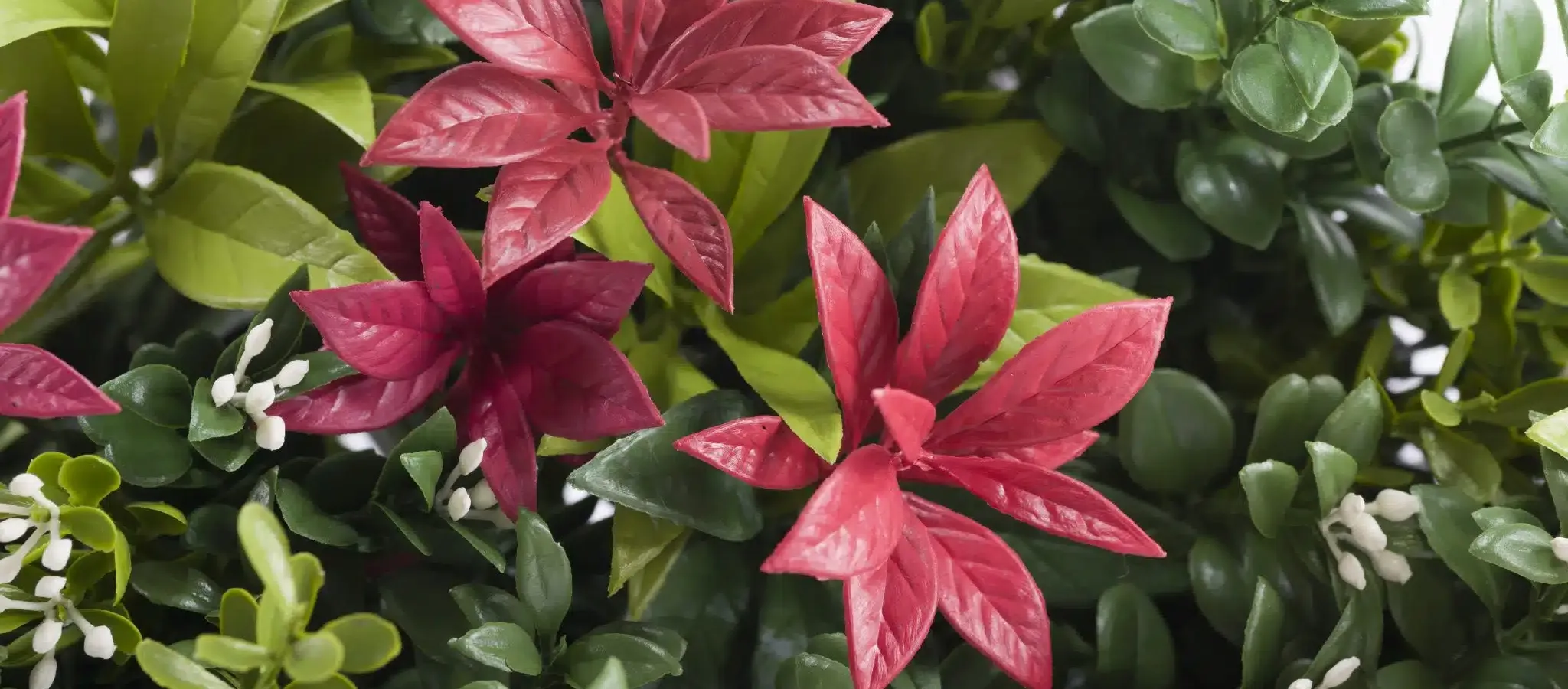 Vistafolia Forest Flame Colour Box - Presentation Media