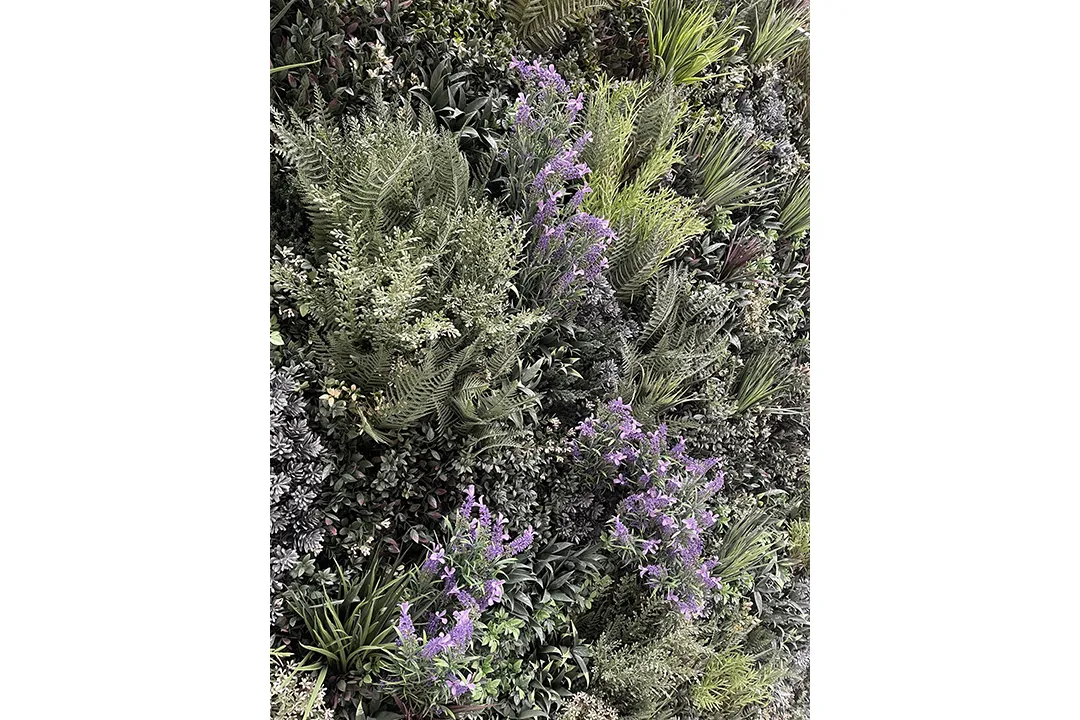 Vistafolia Purple French Lavender Colour Box - Presentation Media