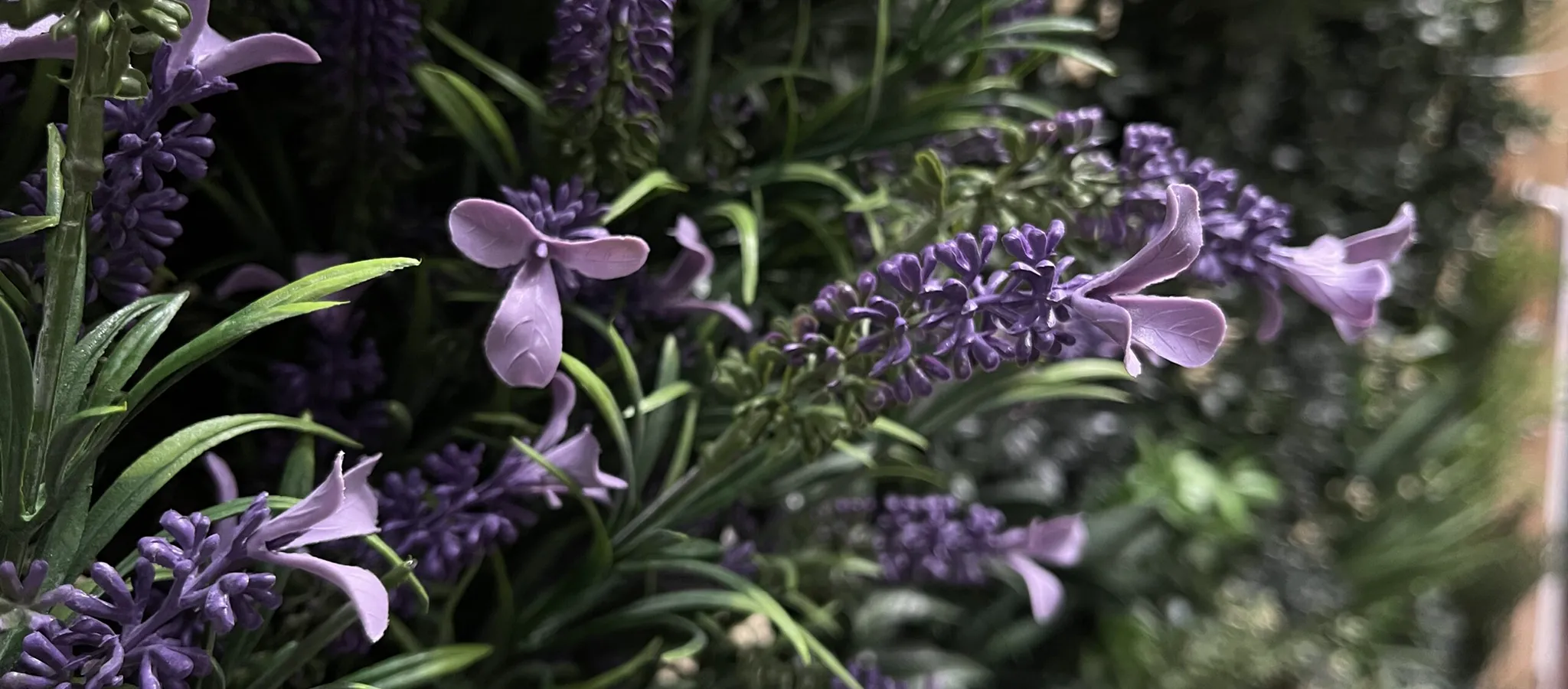 Vistafolia Purple French Lavender Colour Box - Presentation Media