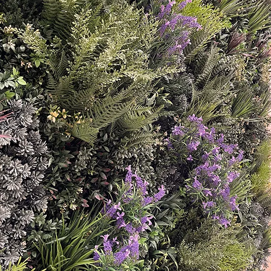 Vistafolia Purple French Lavender Colour Box - Presentation Media
