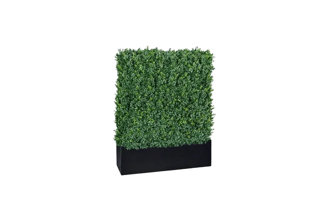 Vistafolia Artificial Box Hedge - Presentation Media