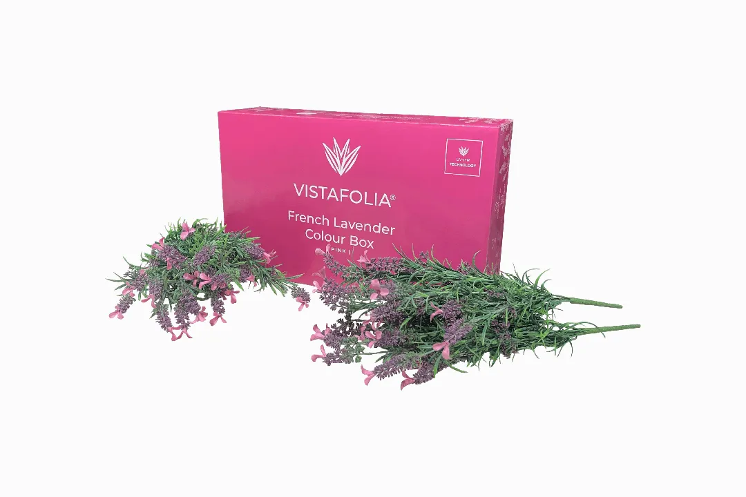 Vistafolia Pink French Lavender Colour Box - Presentation Media