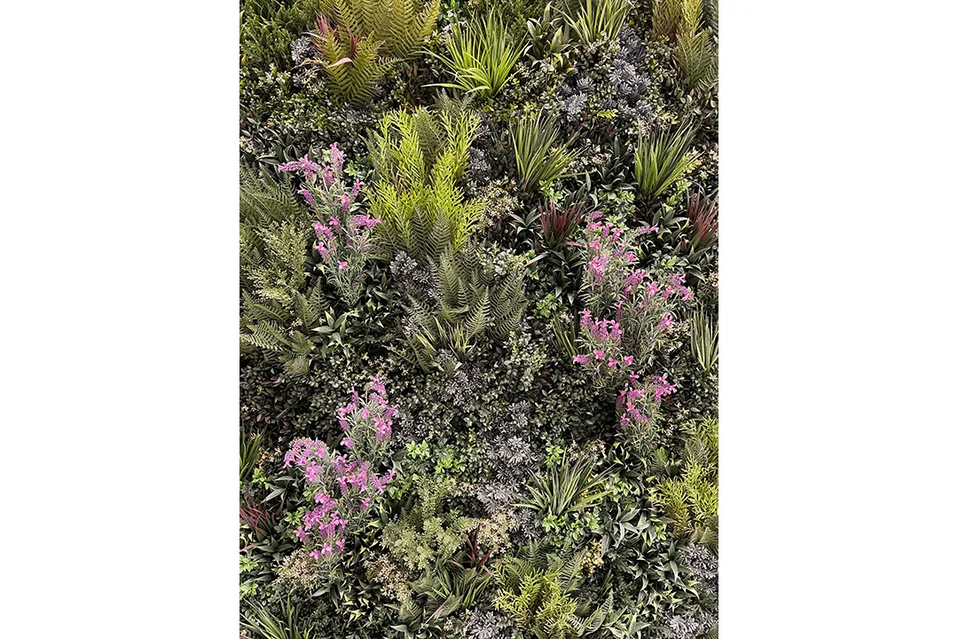 Vistafolia Pink French Lavender Colour Box - Presentation Media