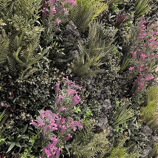 Vistafolia Pink French Lavender Colour Box - Presentation Media