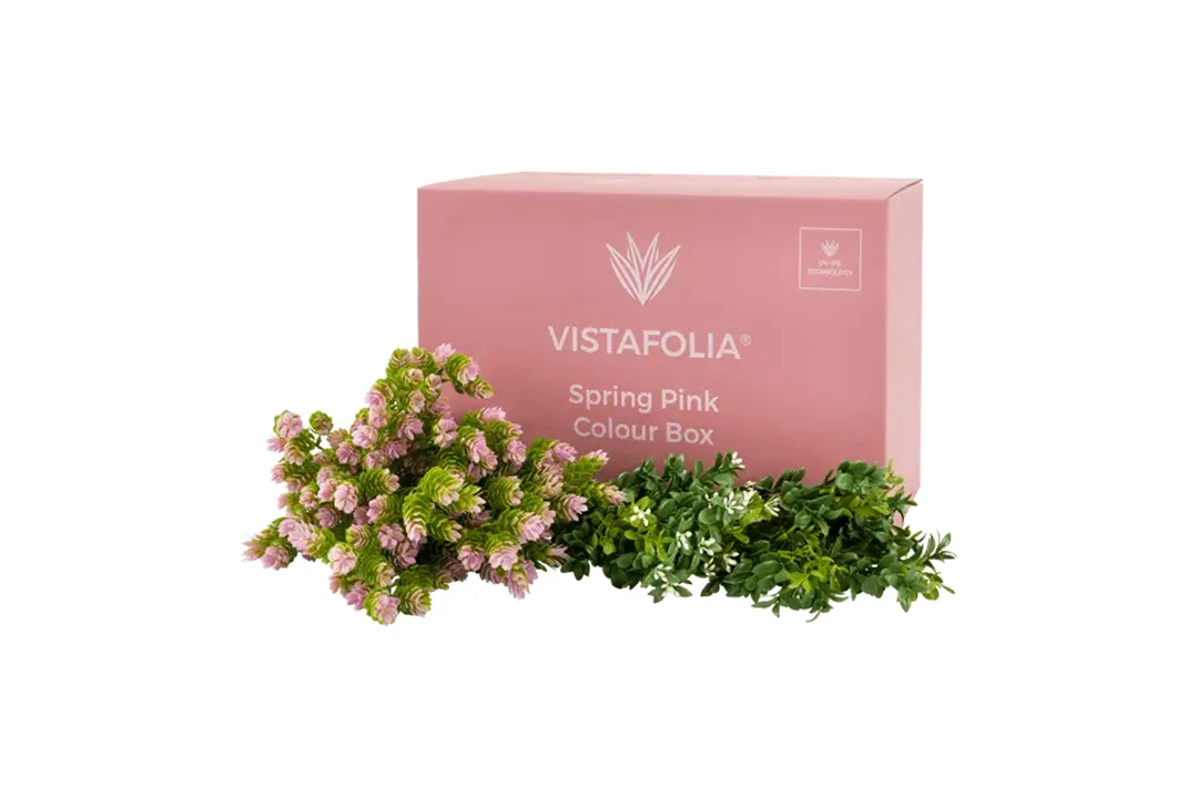 Vistafolia Spring Pink Colour Box - Presentation Media