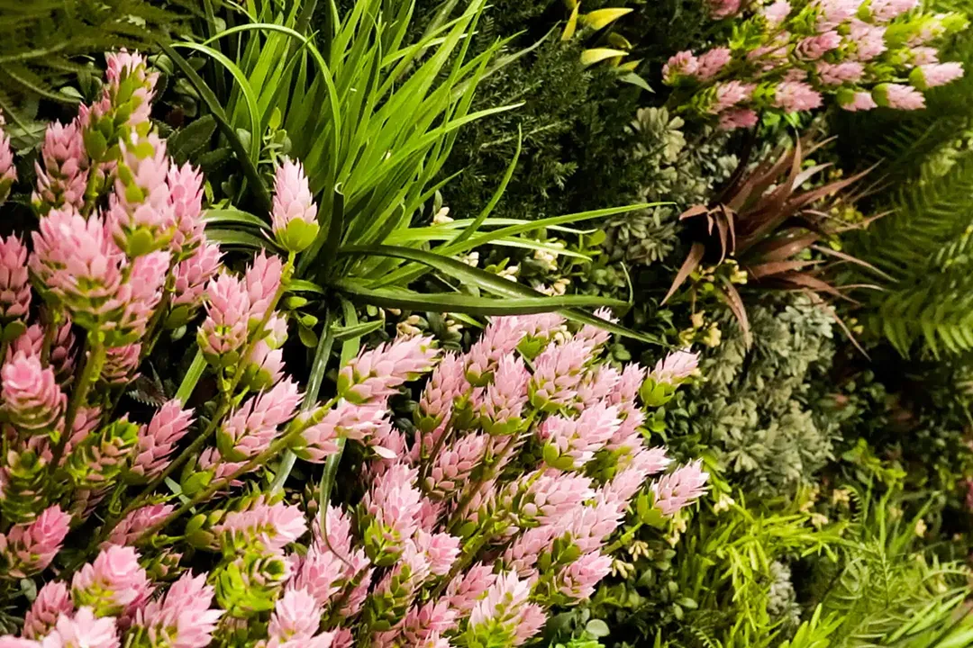 Vistafolia Spring Pink Colour Box - Presentation Media