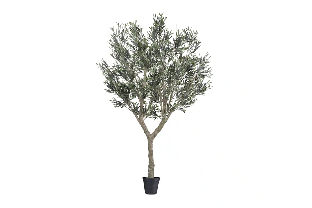 Vistafolia Cielo Verdi Artificial Olive Tree - Presentation Media