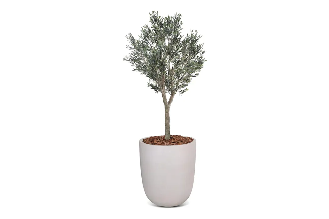 Vistafolia Cielo Verdi Artificial Olive Tree - Presentation Media